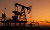 IMF'den kritik petrol açıklaması