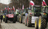 Polonya'da çiftçiler protestolara son verdi